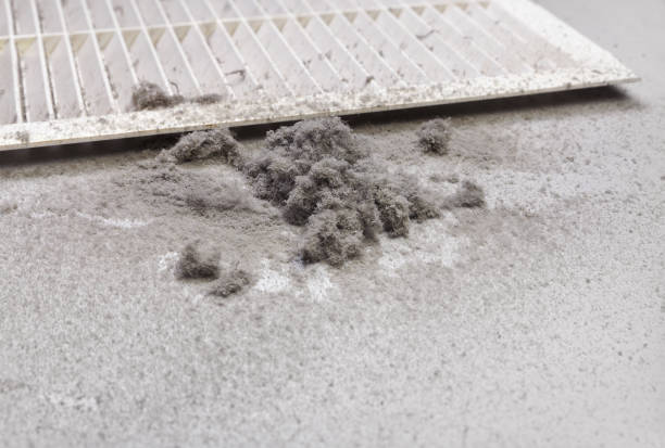 Best Home Air Vent Cleaning  in Panhandle, TX