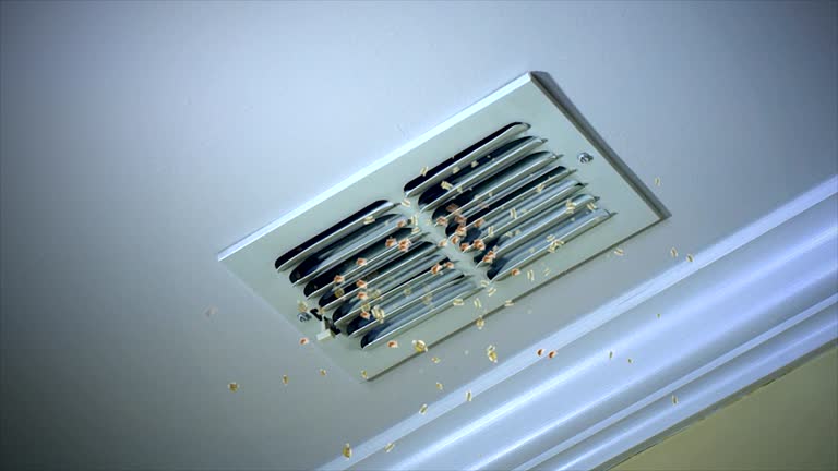 Best Local Air Duct Cleaning Services  in Panhandle, TX